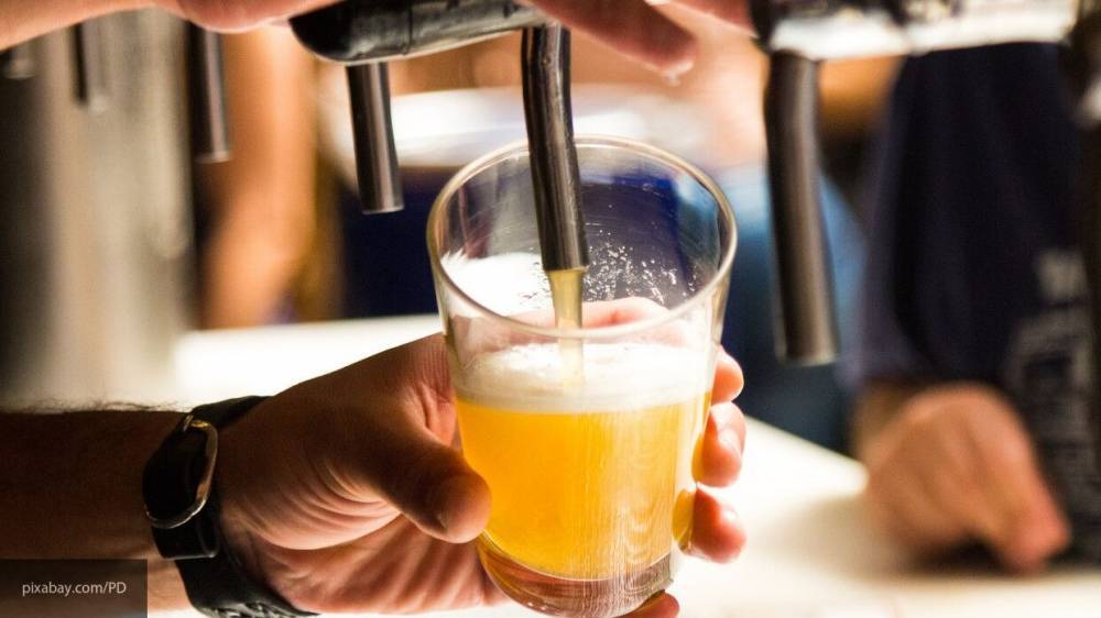 Немецкие ученые рассказали о неочевидном влиянии пива на организм человека
