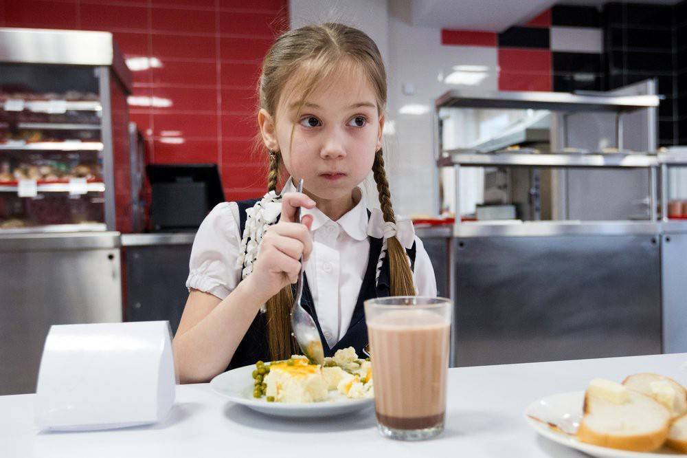 Правительство выделит 22 млрд рублей на горячее питание школьников