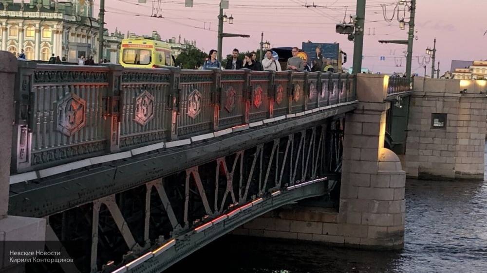 Спасатели помогли упавшей с моста жительнице Петербурга