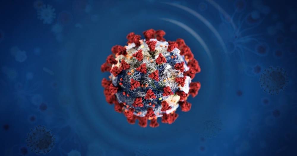 Обнаружено влияние резус-фактора на коронавирус
