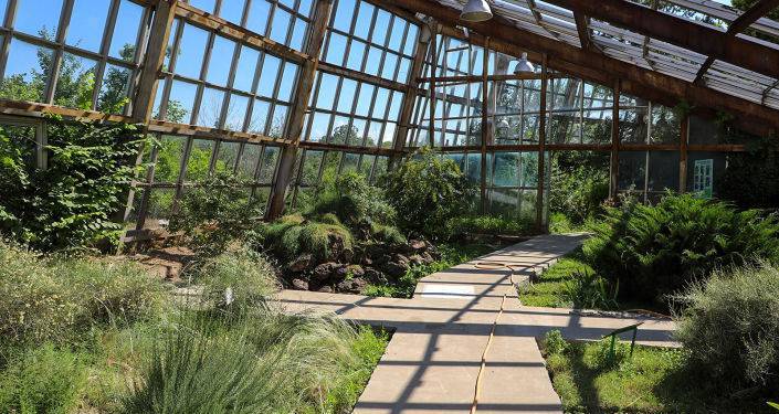 Ботанический сад в Ереване преобразят: что изменится в зеленом оазисе пыльного города