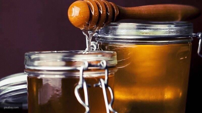 Пчеловод Капунин рассказал о пользе меда для организма