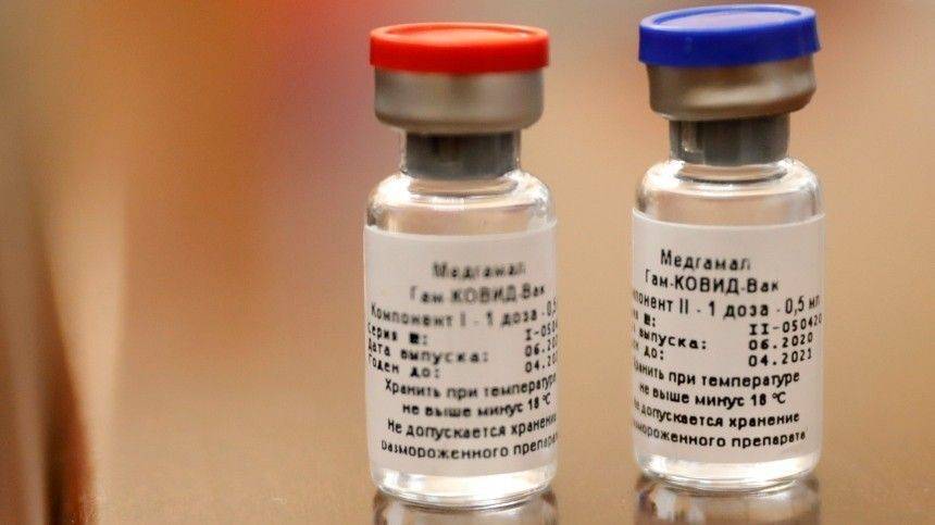 Президент Молдавии заявил о желании приобрести российскую вакцину от COVID-19