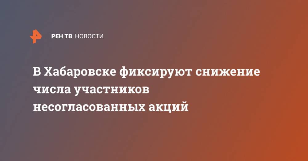 В Хабаровске фиксируют снижение числа участников несогласованных акций