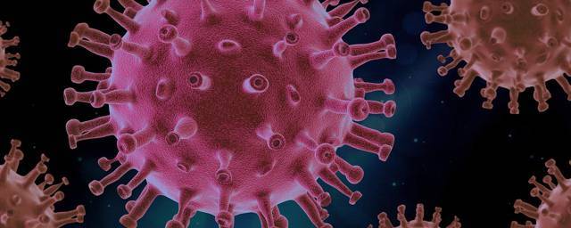 За сутки в России выявили 5061 заболевшего коронавирусом