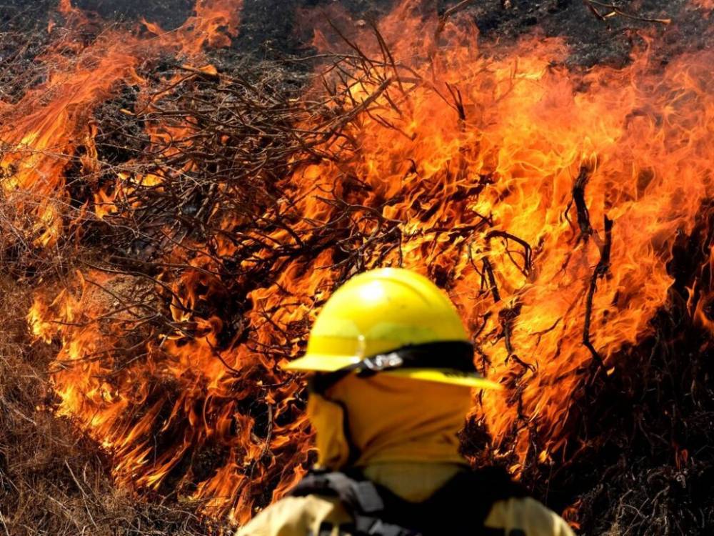В США продолжают гореть леса Калифорнии: под угрозой 5 тысяч домов