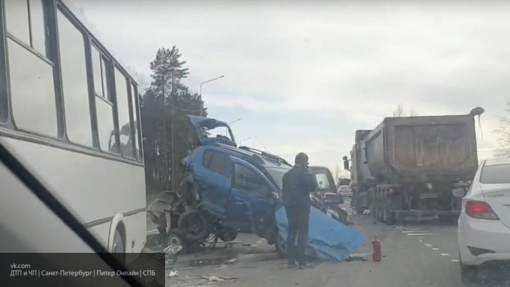 Восемь пассажиров микроавтобуса пострадали при массовом ДТП под Смоленском