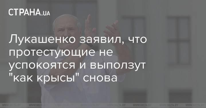 Лукашенко заявил, что протестующие не успокоятся и выползут "как крысы" снова