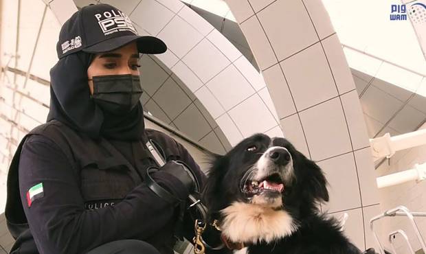 Аэропорт Дубая стал использовать собак для выявления пассажиров с коронавирусом
