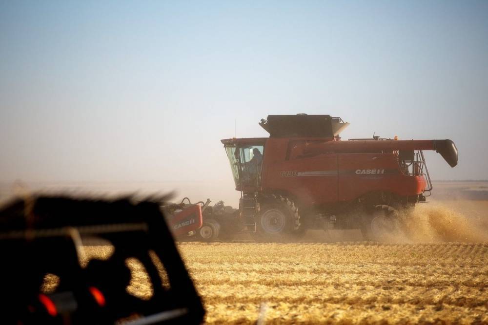 С полей в Волгоградской области убрано 90% зерновых