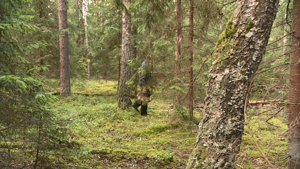 Запреты и ограничения на посещение лесов действуют в 66 районах Беларуси