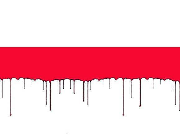 Белорусские следователи завели дело из-за «флага оппозиции»