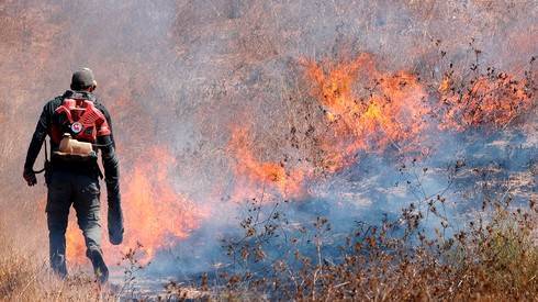 Огненный террор: 18 пожаров у границы с Газой, горят леса и пастбища