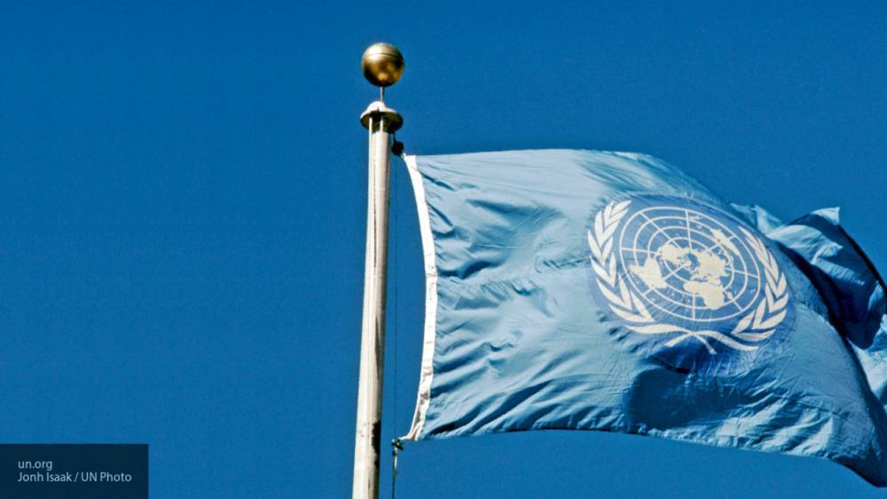 СМИ: ООН призвала Турцию объяснить деятельность ЧВК SADAT в Ливии
