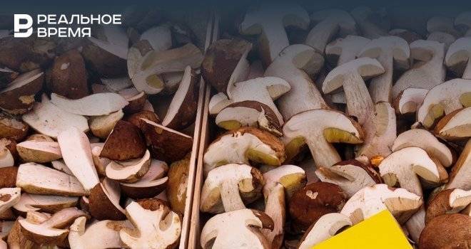 В Татарстане семья отравилась белыми грибами, один ребенок погиб