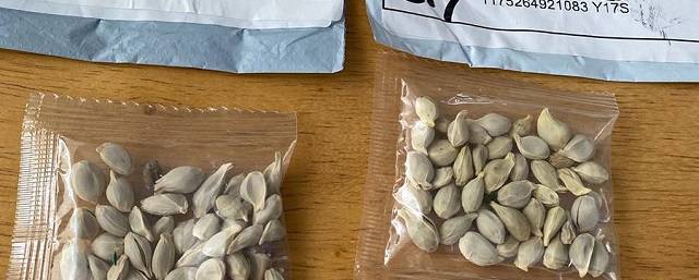 В США раскрыли тайну получения сотен посылок с семенами из Китая