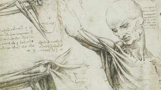 Смысл рисунка Леонардо да Винчи раскрыли спустя 500 лет
