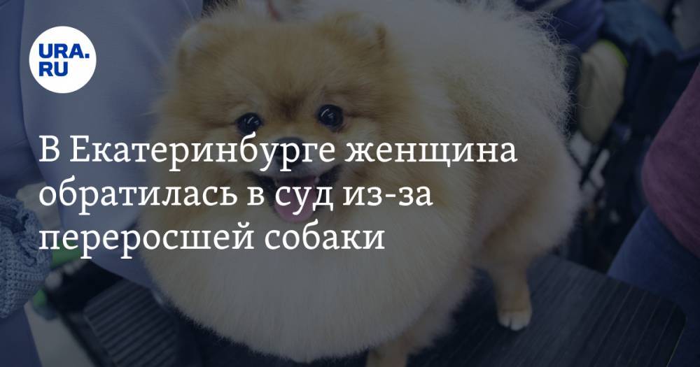 В Екатеринбурге женщина обратилась в суд из-за переросшей собаки