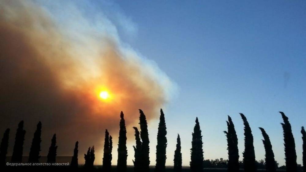 Почти 120 тысяч человек эвакуировали в Калифорнии из-за природных пожаров