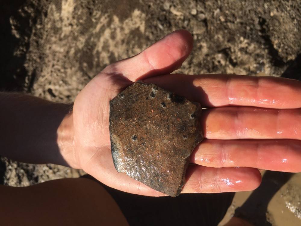 Липецкие археологи нашли посуду, наконечник стрелы и кости лося эпохи меди