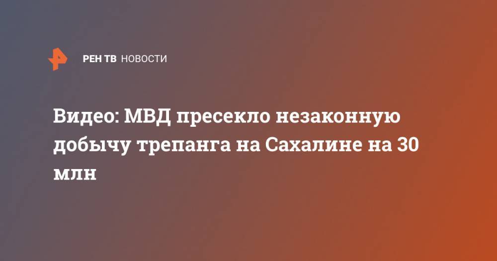 Видео: МВД пресекло незаконную добычу трепанга на Сахалине на 30 млн