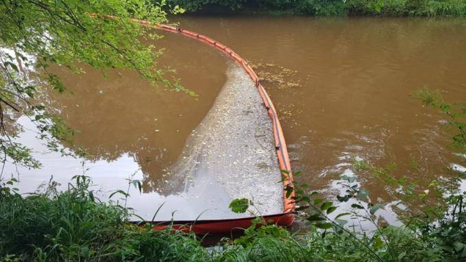 Экологи ликвидировали нефтеразлив на реке Сестре в поселке Белоостров