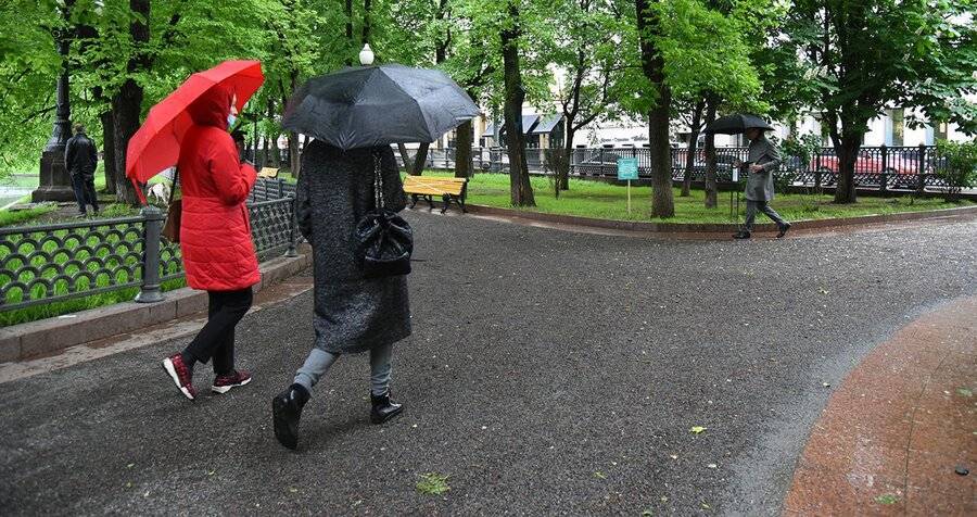 Синоптики предупредили москвичей об ухудшении погоды в среду