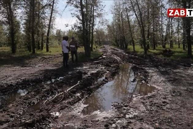 Болото нашли на месте строительства парка Угольщиков в Чите