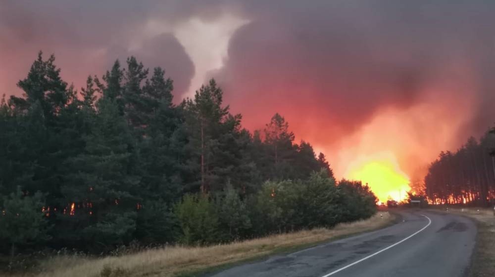 Причиной пожара площадью 150 га в Воронежской области могла стать искра с опоры ЛЭП