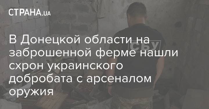В Донецкой области на заброшенной ферме нашли схрон украинского добробата с арсеналом оружия