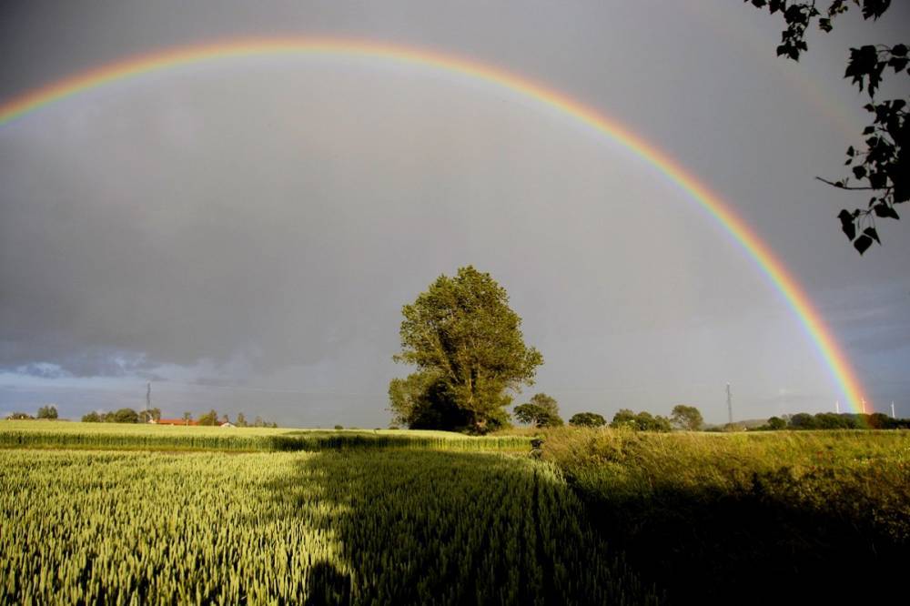 Киевляне после мощного ливня заметили в небе двойную радугу: зрелищные фото