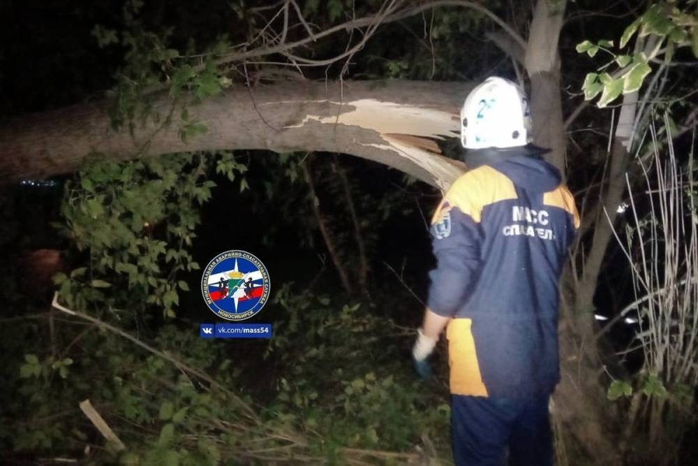 Упавшие деревья полностью заблокировали проезжую часть в Новосибирске