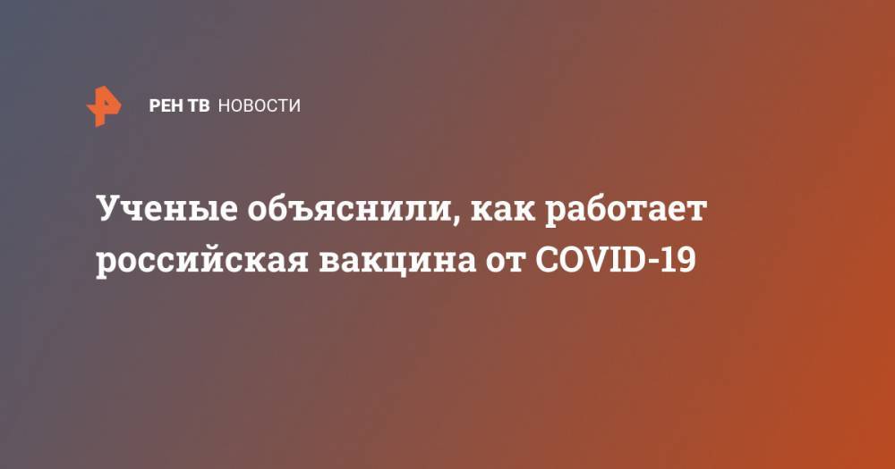 Ученые объяснили, как работает российская вакцина от COVID-19