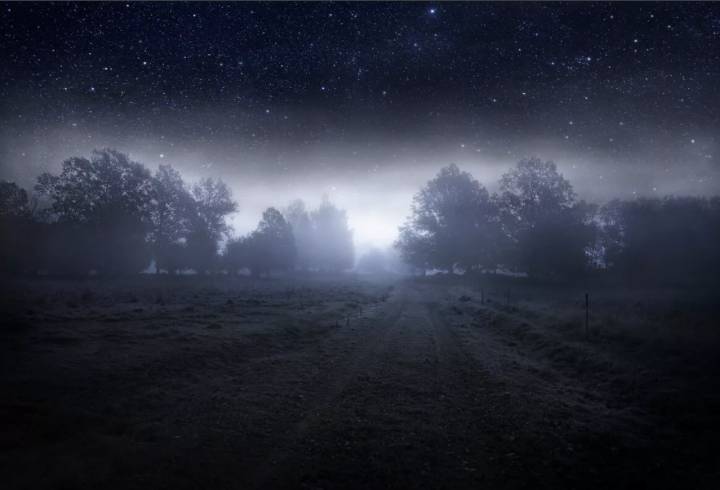 Ночью 4 августа на несколько районов Ленобласти опустится туман