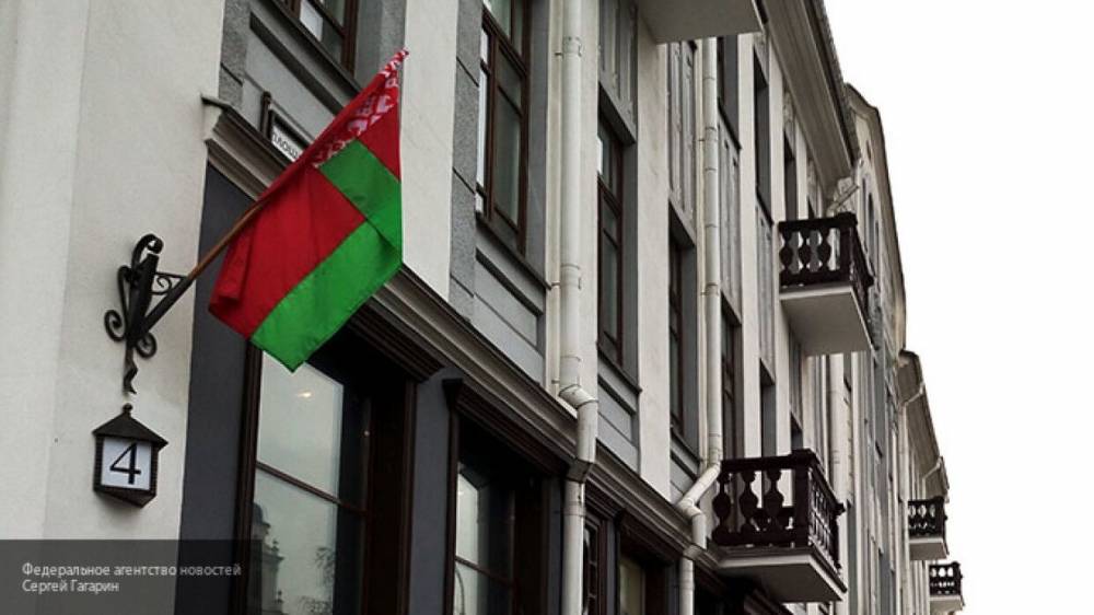 Плетнев: целью визита в Белоруссию граждан РФ был транзитный проезд