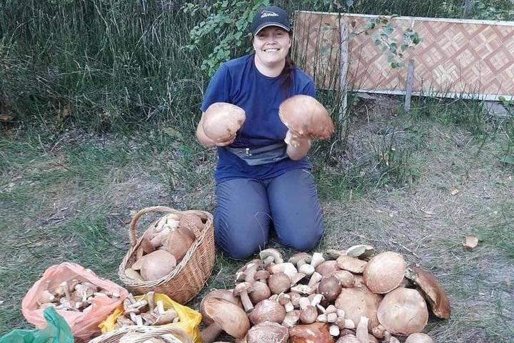 Вот это урожай: новосибирцы закидали сеть фотографиями с грибами