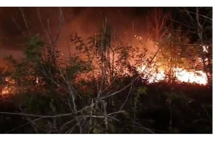 Большой пожар в Южной Озереевке: сгорело больше четырех гектаров сухой растительности