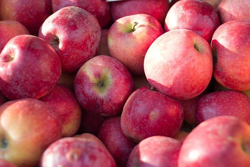 Эксперты объяснили серьезный рост цен на яблоки