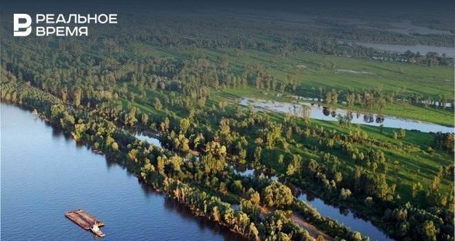 В Татарстане возбудили уголовное дело по хищению части земель Болгарского лесничества