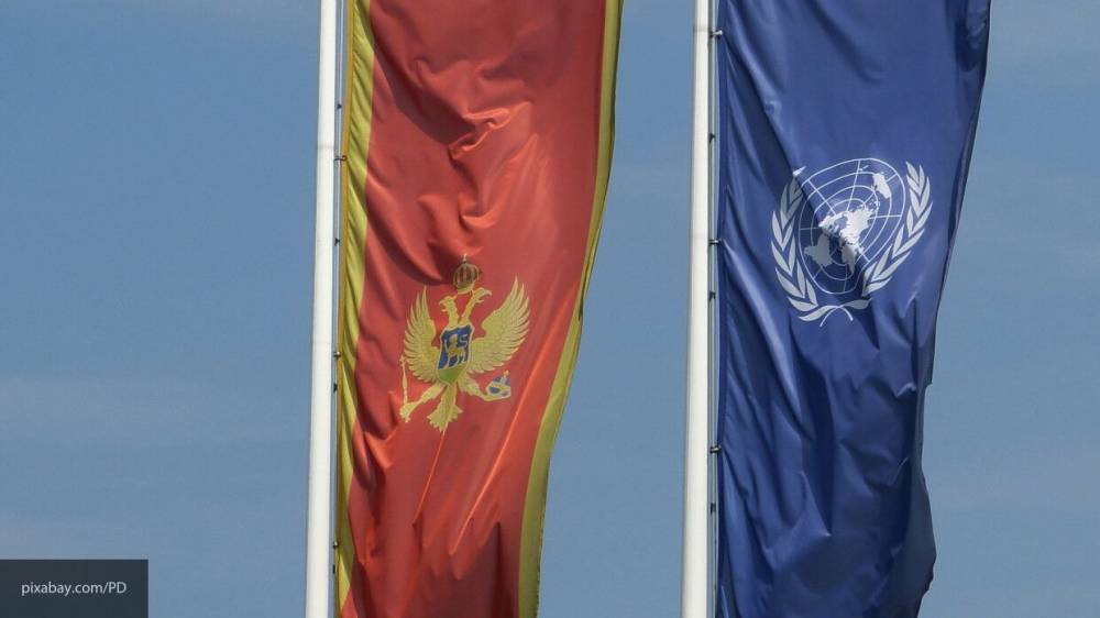 Лидер оппозиции Черногории выступил против антироссийских санкций