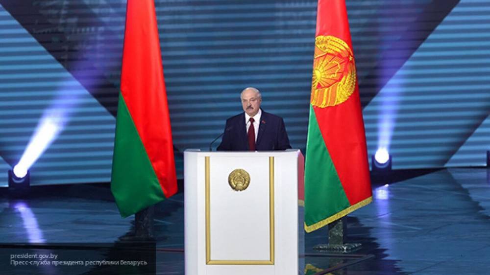 Сын Лукашенко передумал учиться на биолога и забрал документы из БГУ