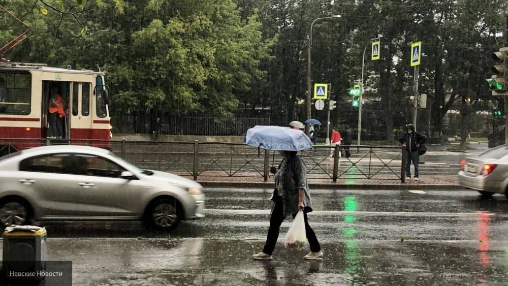 Дождливое 1 сентября прогнозируют синоптики в Петербурге