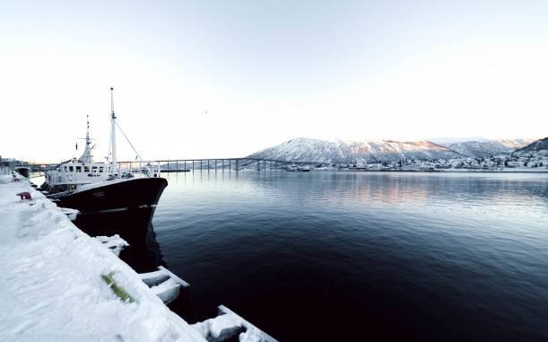 В Арктической зоне Российской Федерации (АРЗФ) статус резидента получит порт «Витино»