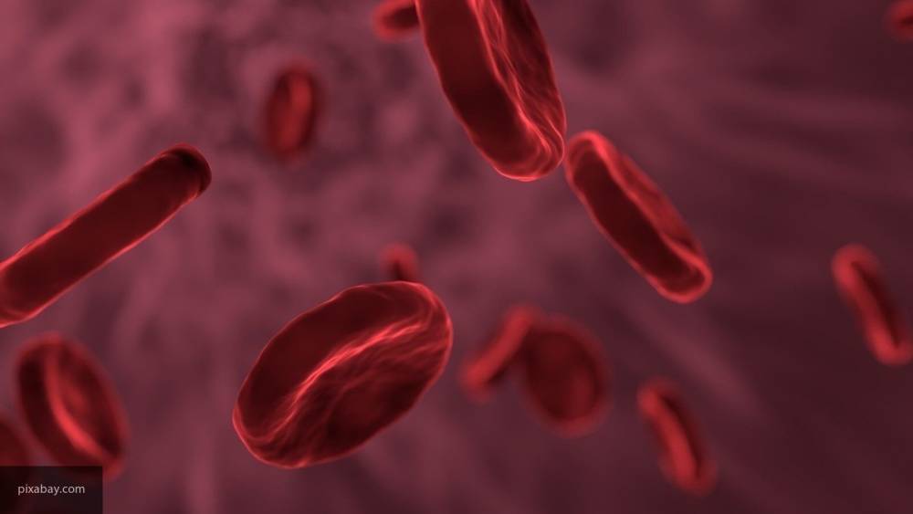 Группа крови может указывать на предрасположенность к долголетию