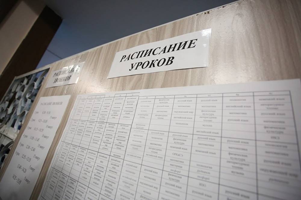 Главу «Альянса учителей» в Петербурге уволили из школы за «аморальный поступок»
