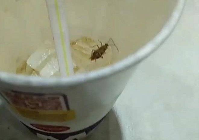 В рязанском «Макдональдс» в напитке нашли таракана