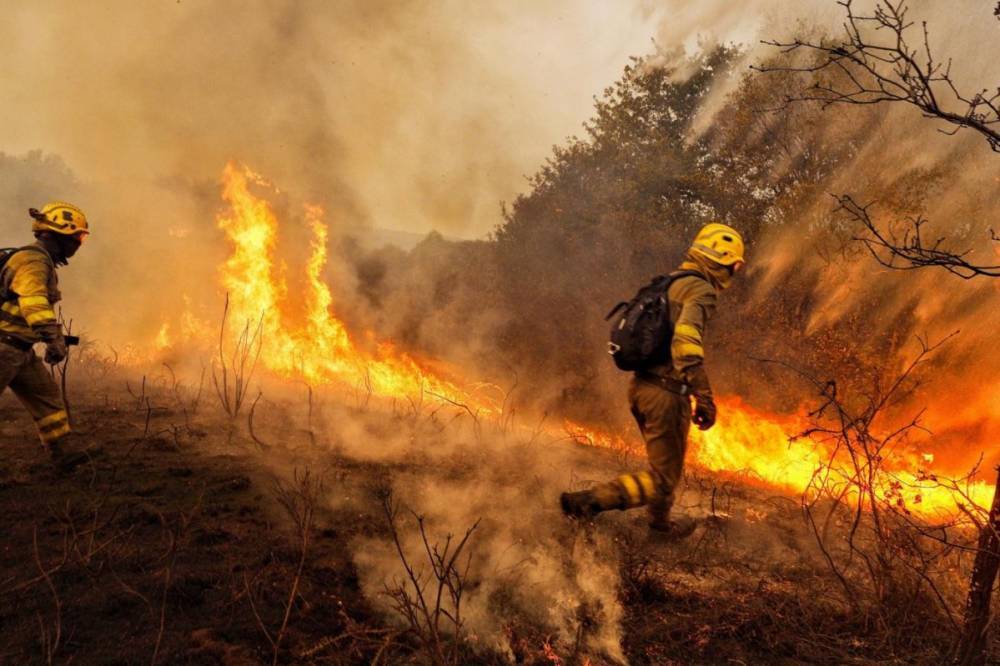 Из-за лесных пожаров в Испании эвакуировали более 3 тысяч человек
