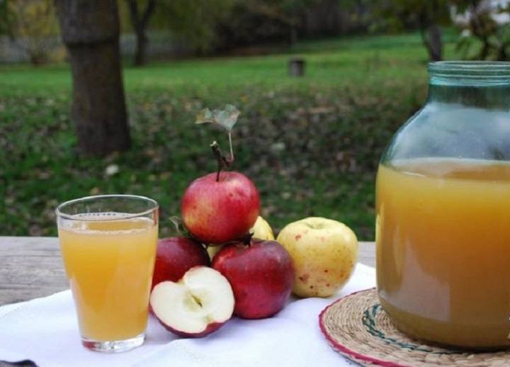 Время варить: классический рецепт полезного домашнего яблочного сока