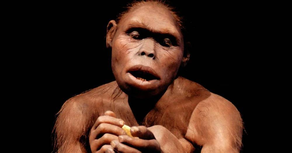 Ученые раскрыли секрет древнего примата