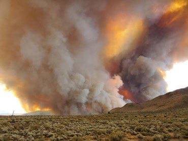 В Калифорнии не могут побороть масштабные пожары - Cursorinfo: главные новости Израиля